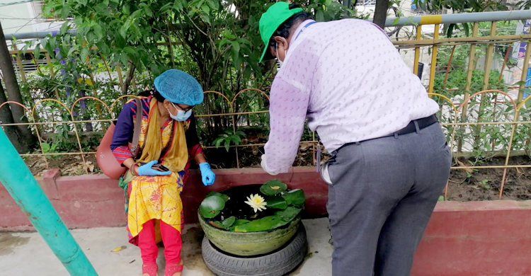 নবম দিনে ৮৭ স্থাপনায় এডিসের লার্ভা, লাখ টাকা জরিমানা
