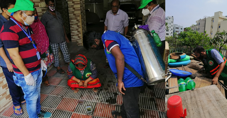 নয় দিনে ৮৫০ স্থাপনায় মিললো এডিসের লার্ভা