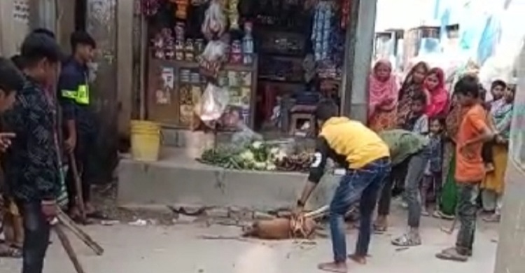 ফতুল্লায় কুকুরকে পিটিয়ে হত্যার ঘটনায় থানায় অভিযোগ