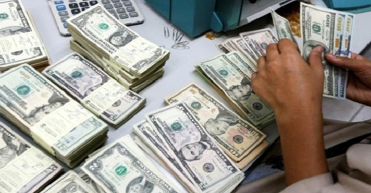 চুয়াডাঙ্গা সীমান্তে ৮০ হাজার ডলার জব্দ