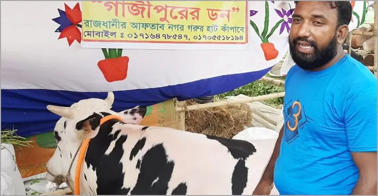 বিক্রি হয়নি গাজীপুরের ডন, মন খারাপ খামারির