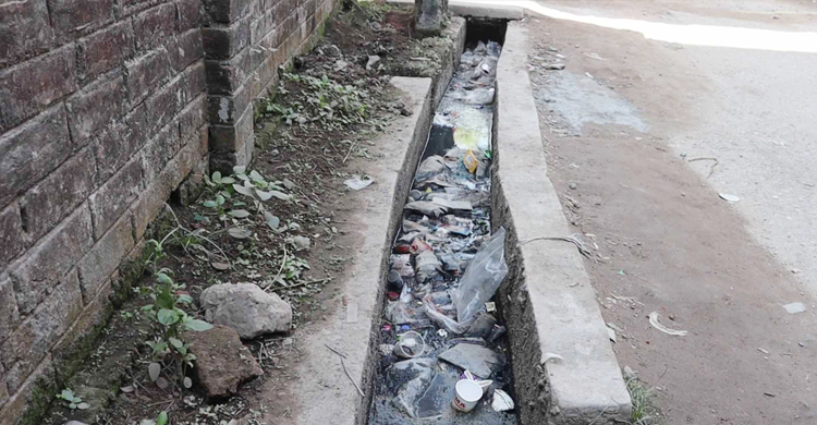 মশার উপদ্রবে অতিষ্ঠ নওগাঁ পৌরবাসী