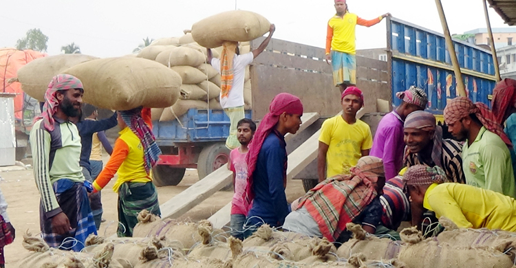 কৃষকের মুখে এখন রাজ্য জয়ের হাসি