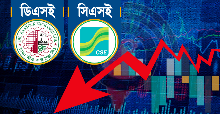 ৯ সপ্তাহ পর পতনে শেয়ারবাজার, মূলধন কমল ২ হাজার কোটি