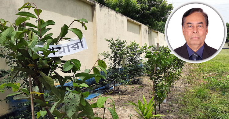 শিক্ষাপ্রতিষ্ঠানে সবুজ বিপ্লবের স্বপ্ন দেখেন আমিন উদ্দিন