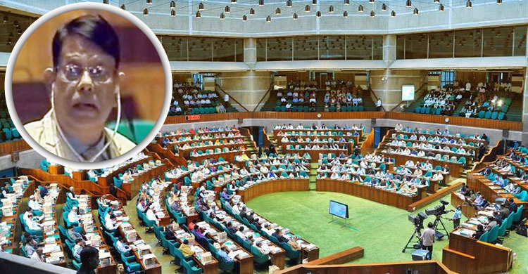 শেখ হাসিনা আলাদিনের আশ্চর্য প্রদীপ: ফখরুল ইমাম