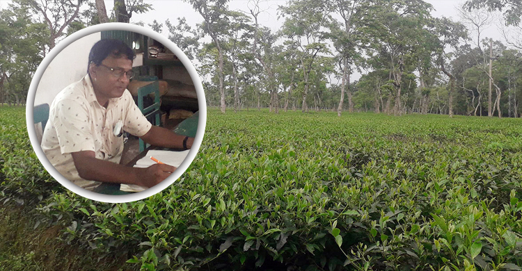 মাদকমুক্ত চা বাগানের স্বপ্ন সুনীলের, ছড়িয়েছেন শিক্ষার আলো