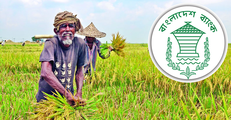 দুই মাসে ৩৮৩৭ কোটি টাকা ঋণ পেল কৃষক