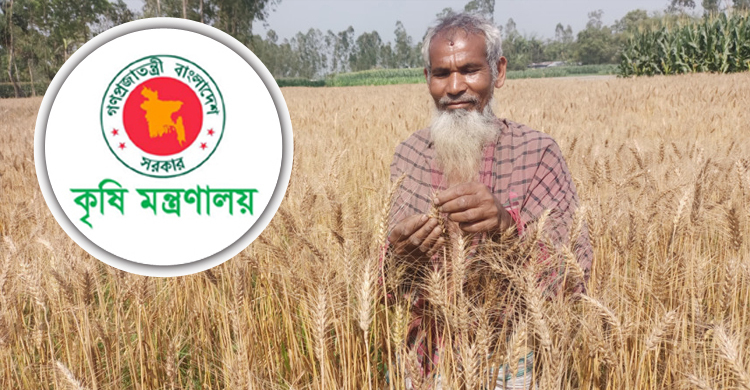 সাড়ে ১৬ লাখ কৃষক পাবেন ১৩৭ কোটি টাকার বীজ-সার