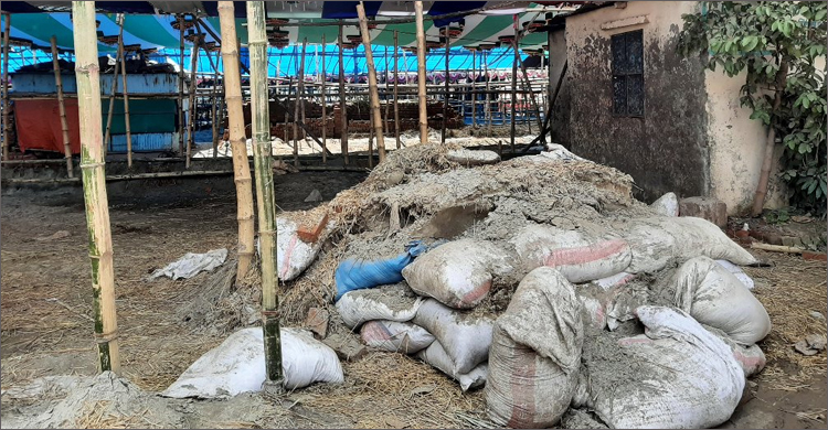 পশুর হাটের বর্জ্য অপসারণে কর্তৃপক্ষের উদাসীনতা