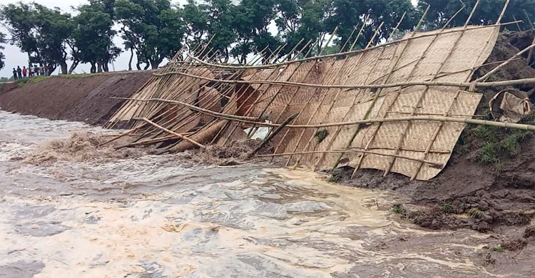 বন্যার আগেই ভেঙে গেলো নজরখালী বাঁধ