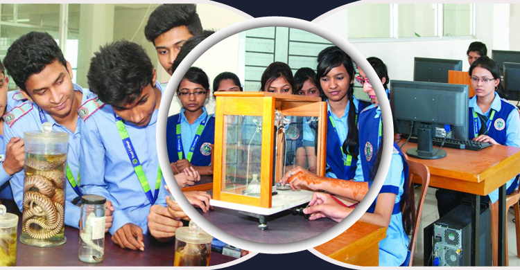 ট্রাস্ট কলেজের সাফল্যের এক যুগ