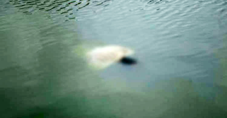 নদীতে ভেসে উঠল নবজাতকের মরদেহ