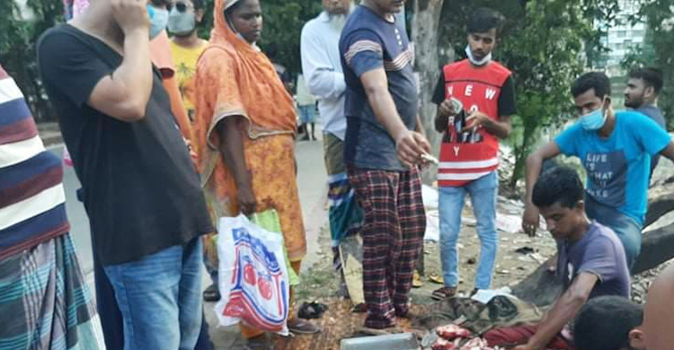 ৪০০ টাকার কোরবানির মাংস, ক্রেতা মধ্যবিত্ত-হোটেল মালিক