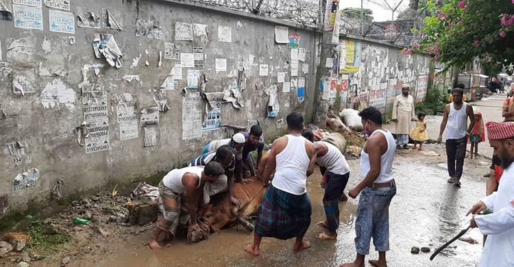 17,000 workers ready to remove wastes of sacrificial animals