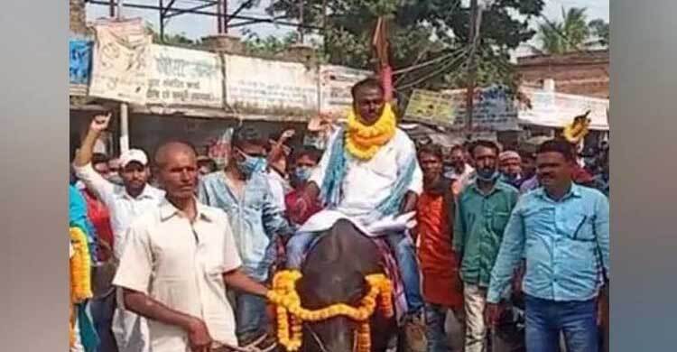 ব্যক্তিগত যানবাহন নেই, মহিষের পিঠে চড়েই মনোনয়নপত্র জমা