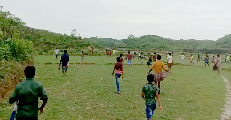 লোকালয়ে একজোড়া বন্যহাতি; কয়েকঘণ্টার প্রচেষ্টায় ফিরলো বনে