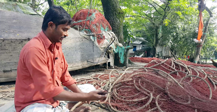 ইলিশে অভাব ঘোচানোর স্বপ্ন