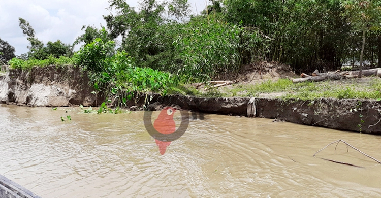 ‘বারবার নদীভাঙনে আমাদের জীবন এখন পাখির মতো’ | ০৩ আগস্ট ২০২১