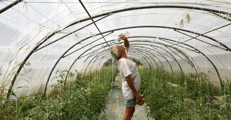 পশ্চিম ইউরোপে তীব্র তাপপ্রবাহ, জনজীবন বিপর্যস্ত