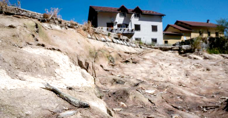 বৈরী আবহাওয়ায় ইউরোপে ৪০ বছরে প্রায় দেড় লাখ মৃত্যু: গবেষণা