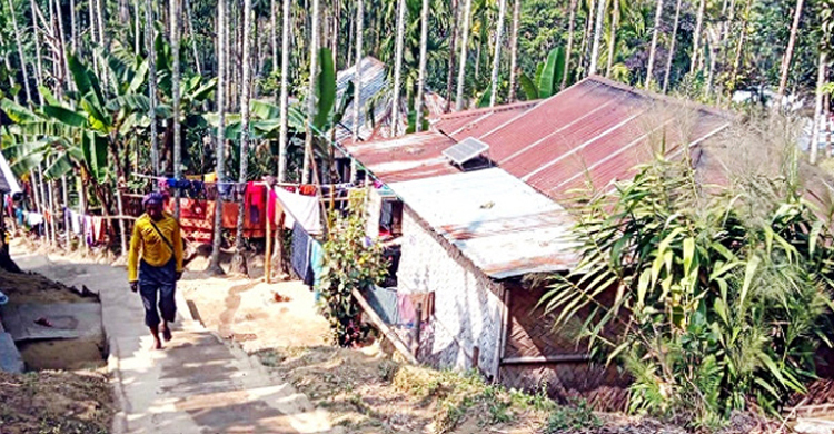 খাসিয়াদের উচ্ছেদ ও বন ধ্বংস বন্ধের দাবি ১৩ সংস্থার