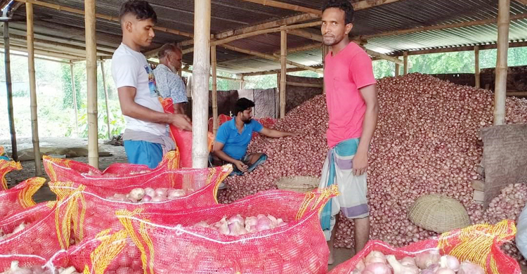 আমদানির খবরে মণপ্রতি পেঁয়াজের দাম কমলো ৪০০ টাকা