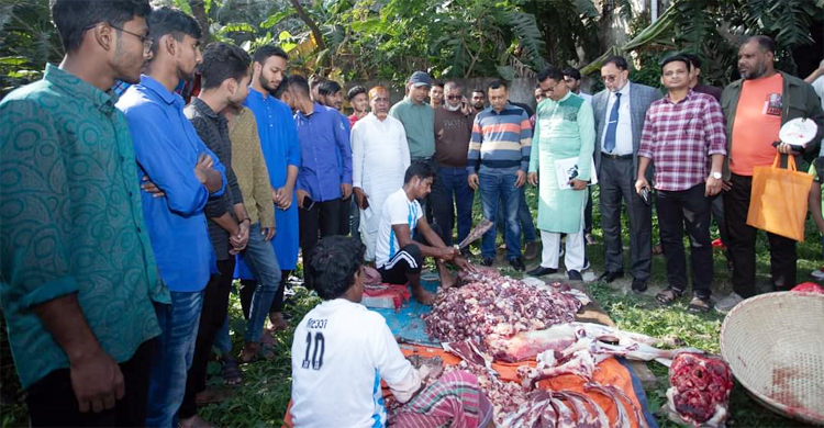 ফেনীতে গরু জবাই করে আর্জেন্টিনার সমর্থকদের ভূরিভোজের আয়োজন