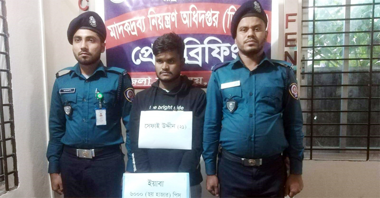 শপিংব্যাগে ইয়াবা নিয়ে বাসে ঢাকা আসছিলেন যুবক