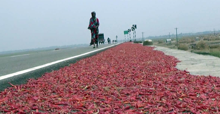 কৃষকের কাছে আশীর্বাদ হয়ে এসেছে অলওয়েদার সড়ক