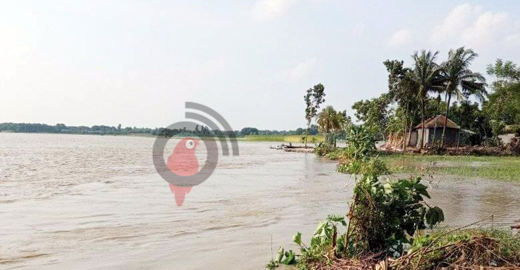 ফরিদপুরে ৭ হাজার পরিবার পানিবন্দি, ভাঙছে পদ্মারপাড়