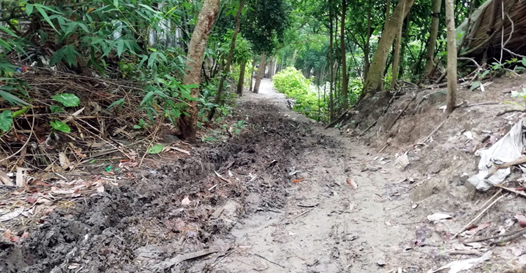 কাজ না করেই বিল তুলে নিলেন ২ মেম্বার