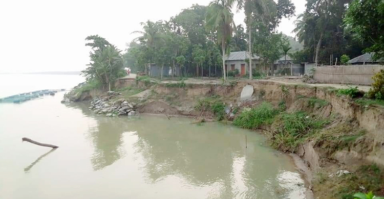ফরিদপুরে বাড়ছে নদ-নদীর পানি, শুরু হয়েছে ভাঙন
