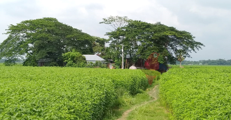 এক বাড়ি নিয়ে একটি গ্রাম!