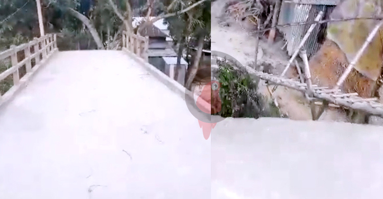 ব্রিজে ওঠানামায় লাগে মই, আশ্বাসেই পার কয়েক যুগ