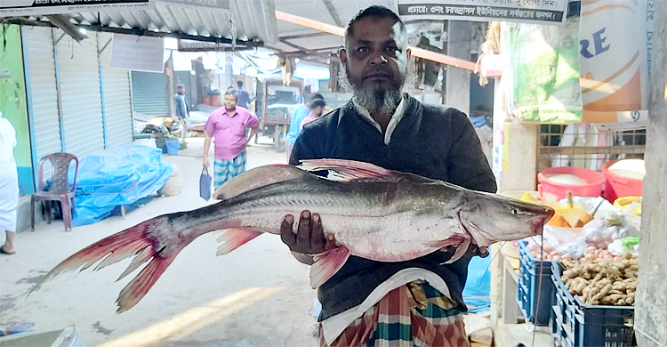 ৫ কেজির আইড় ৮ হাজারে বিক্রি