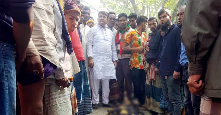 পিকআপ-অটোরিকশা সংঘর্ষে দাদি-নাতনি নিহত