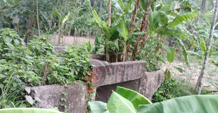 ‘বেওয়ারিশ’ সেতুটির খবর নেই কারো কাছে