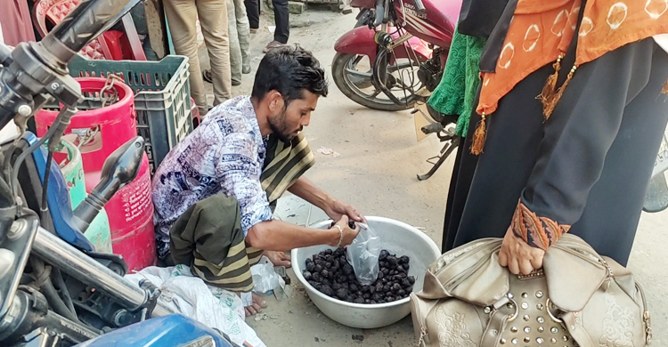 বিলুপ্তির পথে শাপলা শালুক