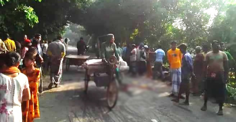 ফরিদপুরে ভ্যান-নসিমনের সংঘর্ষে যুবক নিহত