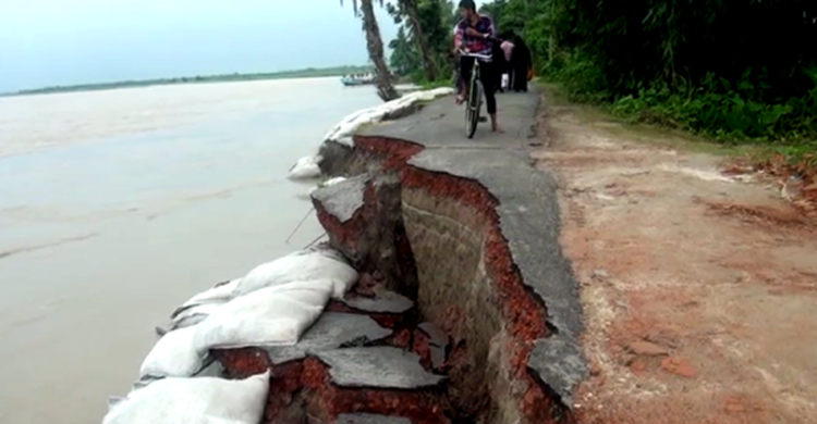 ফরিদপুরে মধুমতির তীব্র ভাঙনে দিশেহারা মানুষ