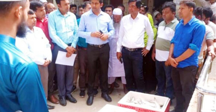 নিষেধাজ্ঞা অমান্য করে ইলিশ শিকার, ১৬ জনের জেল-জরিমানা