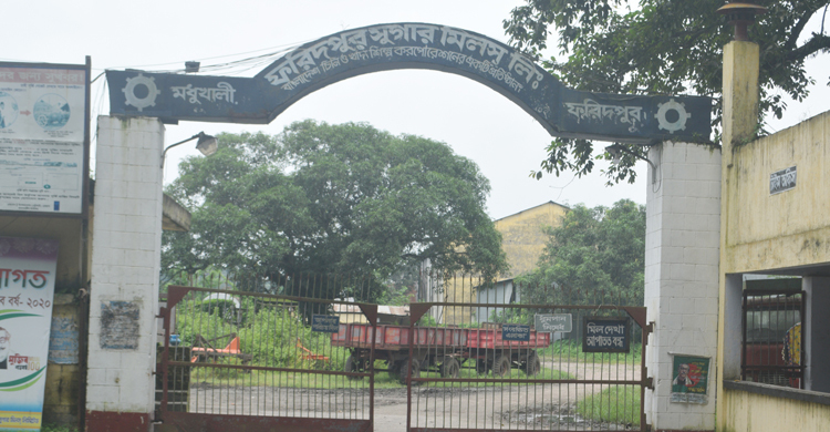 ৪ মাস ধরে বেতন পান না ফরিদপুর চিনিকলের শ্রমিক-কর্মচারীরা