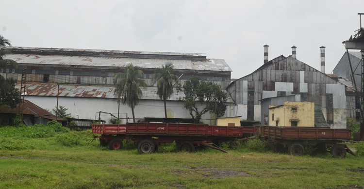 faridpur-sugar-mil