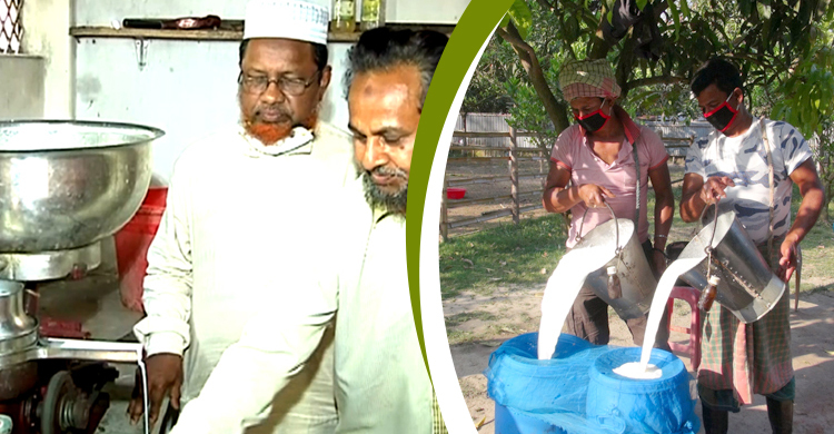 ফরিদপুরে অবিক্রীত দুধ থেকে তৈরি হচ্ছে ক্রিম