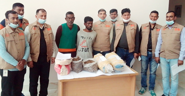 মাটির নিচ থেকে তিন লাখ টাকার গাঁজা উদ্ধার