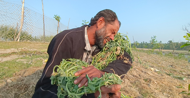 সেই কৃষকের ক্ষেত পরিদর্শন, জড়িতের বিরুদ্ধে ব্যবস্থা নেওয়ার আশ্বাস