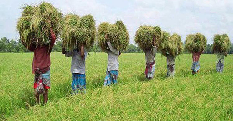 জাতীয় উৎপাদনশীলতা দিবস আজ