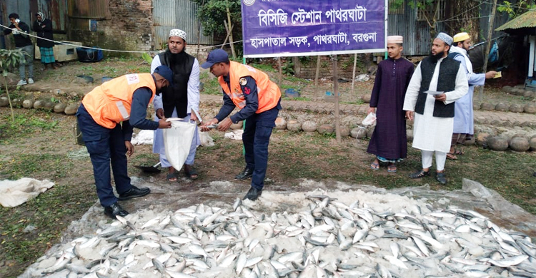 সাগরে জালে আটকা ২০ মণ জাটকা গেলো এতিমখানায়