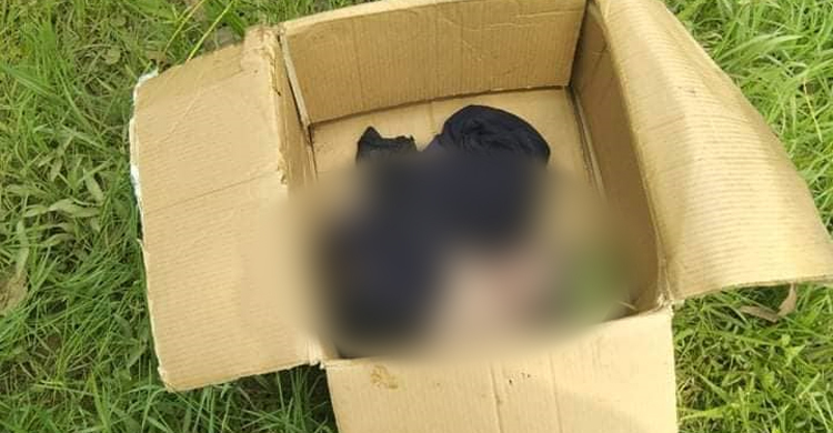 রাস্তার পাশে কার্টনে মিললো মেয়ে নবজাতকের মরদেহ